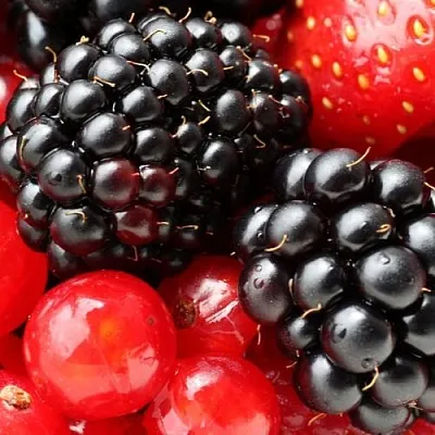 Ежевика в Нижнем Новгороде