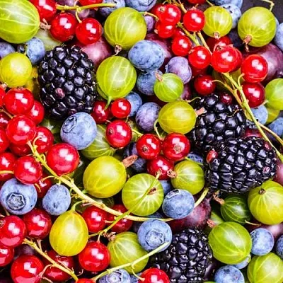 СУПЕР НОВИНКИ в Нижнем Новгороде