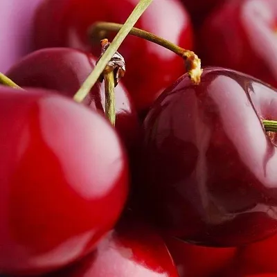 Вишня в Нижнем Новгороде