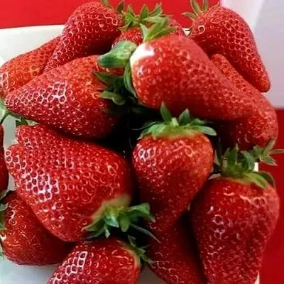 Клубника БРИЛЛА  Клубника БРИЛЛА в Нижнем Новгороде