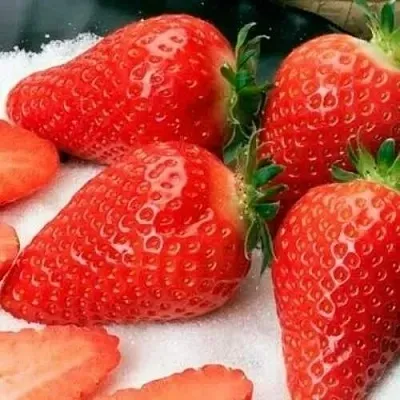 Клубника АЛЬБА  Клубника АЛЬБА в Нижнем Новгороде