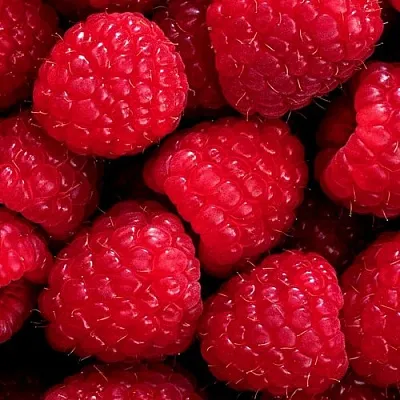 Малина в Нижнем Новгороде