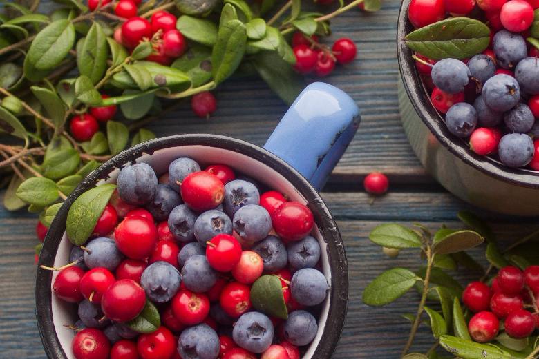 Обновление ассортимента: лучшие ягодные культуры теперь у нас